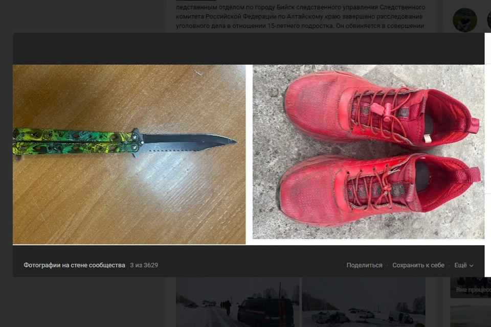 Кроссовки, которые хотел подросток. Скриншот страницы vk.com/altaikrai.sledcom