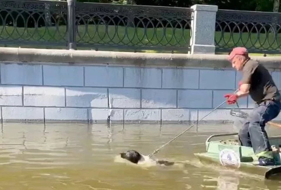 Тонувшую в Яузе собаку спасли сотрудники к «Мосводостока». Фото: официальный телеграм-канал ГУП «Мосводосток»