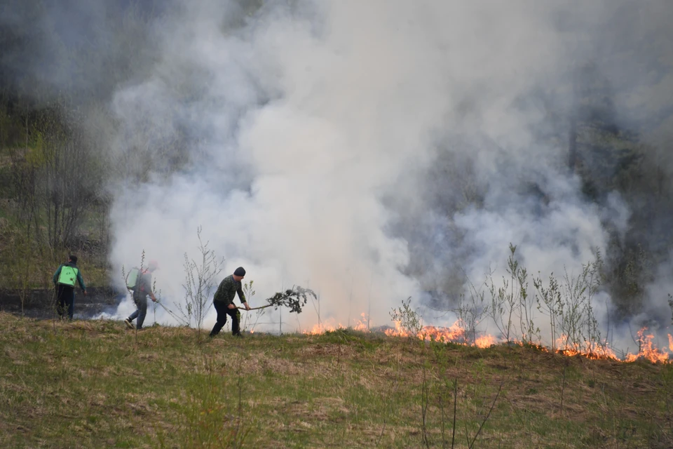 Высокий риск возгораний прогнозируют в центральных районах и Приазовье