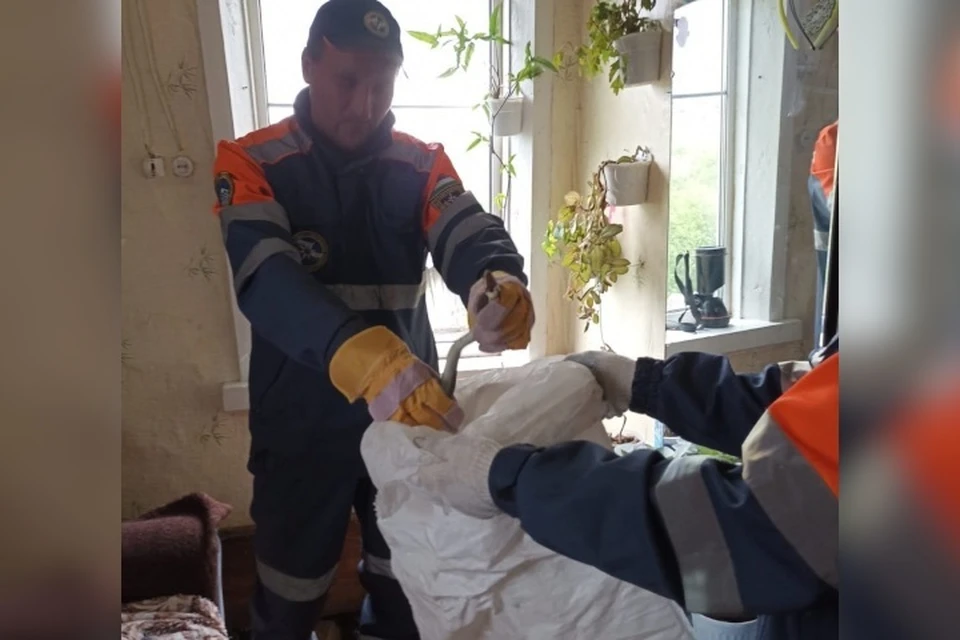 фото: Госкомитет РБ по ЧС