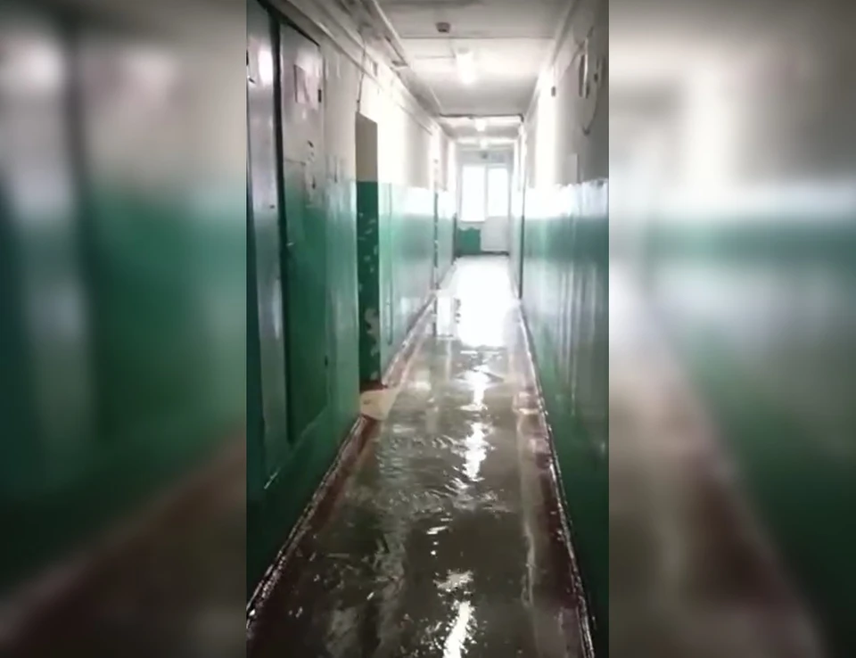 Вода просочилась в жилые комнаты на Державина, 21. Фото: Telegram-канал ЧП.Владивосток