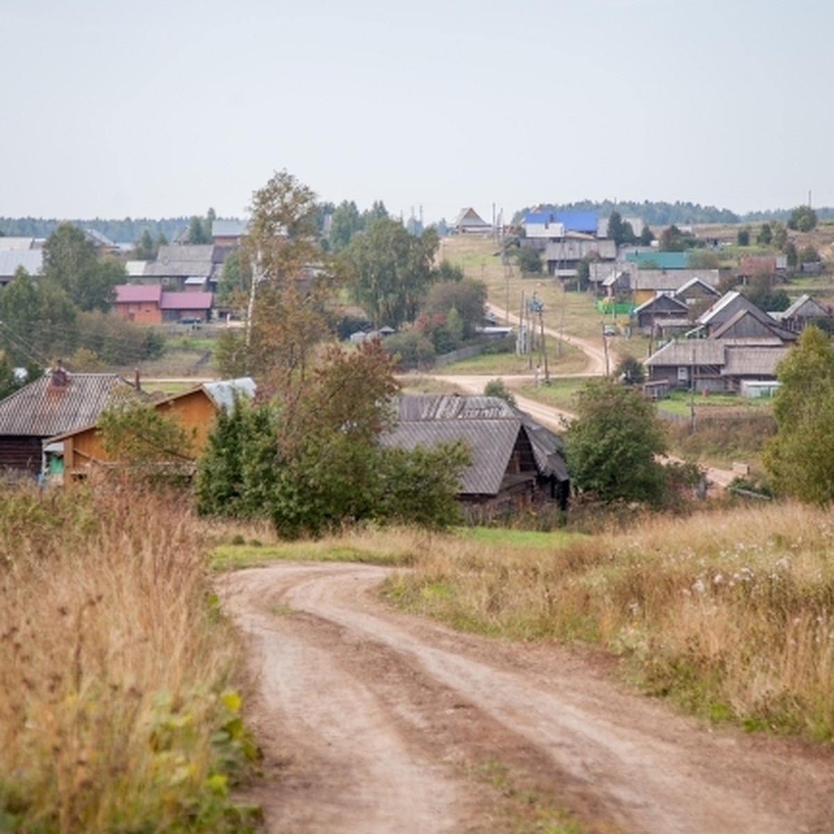 В Омской области нашли подрядчика на строительство дороги, которую жители  просили у экс-канцлера Германии Ангелы Меркель - KP.RU