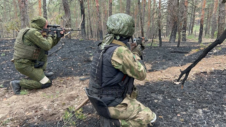 В правительстве рассказали, кто считается ветеранами боевых действий