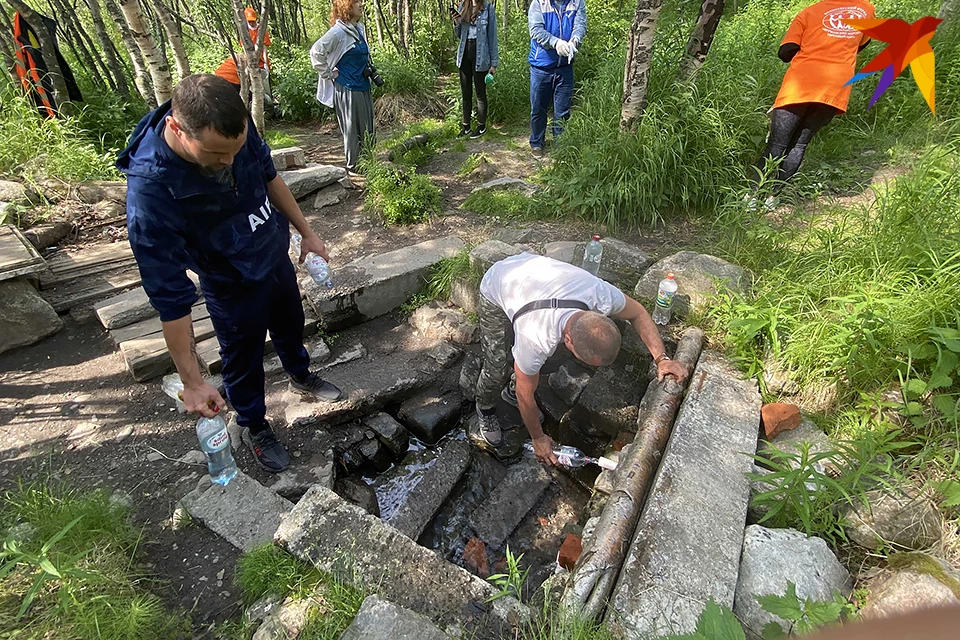 Погода в родниках на 10