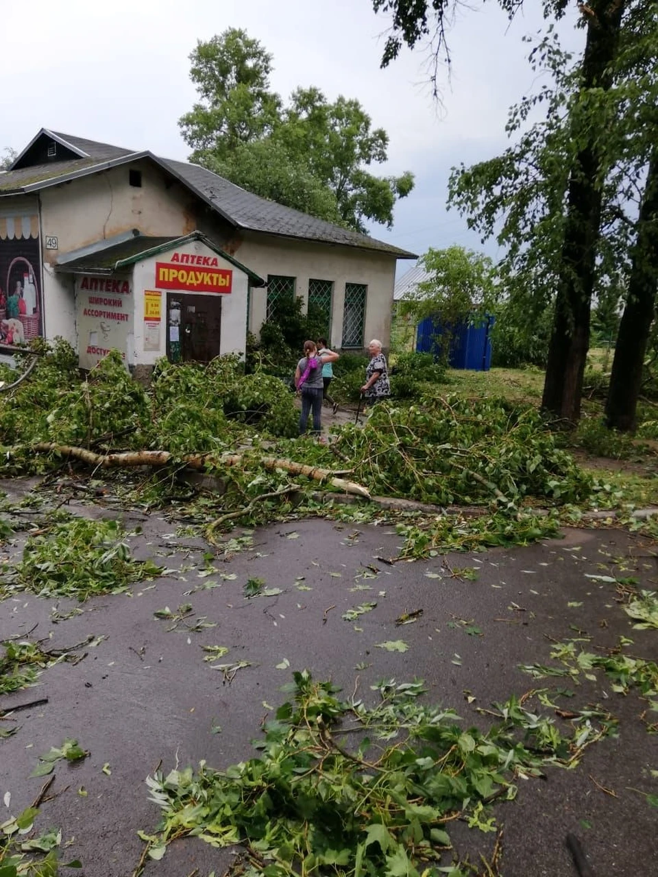 Повсюду на дорогах- обломанные ветки.