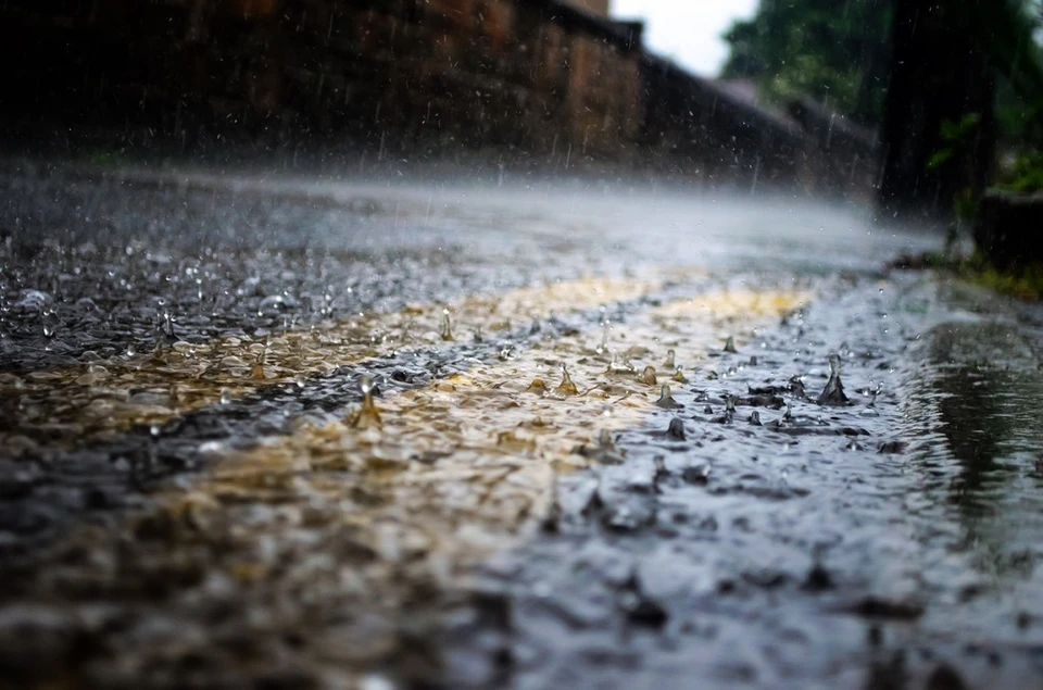 Фото: pexels.com