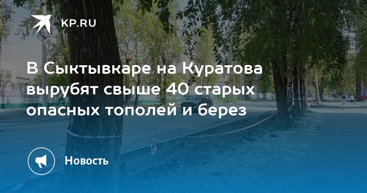 Куратова 35 сыктывкар фото