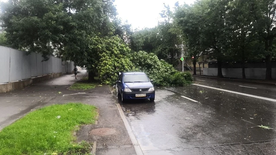 Всего в городе ураган повалил 34 дерева и веток, 10 из них упали на автомобили.