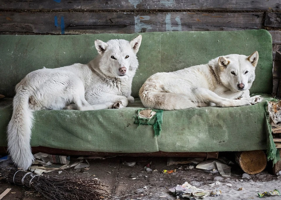 Автор фото: Елена Аносова. В Калининграде она набирает фотографов для занятия в мастерской, а также прочтет лекцию.