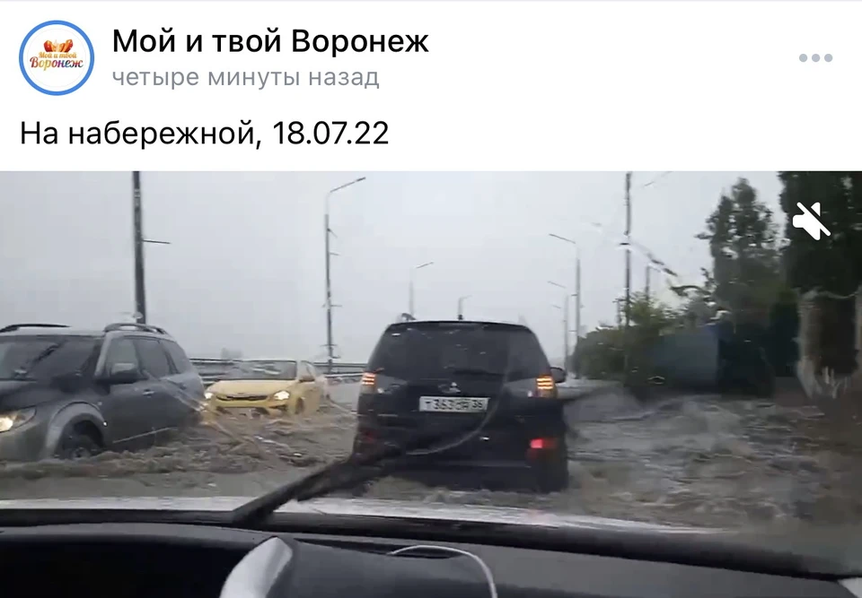 Мой и твой воронеж