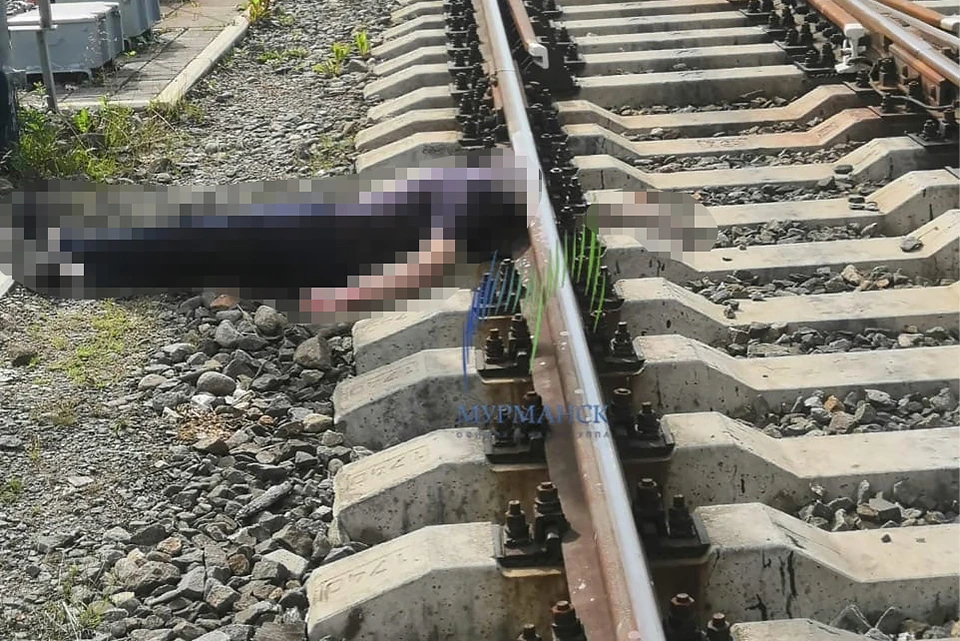 В Мурманске неподалеку от железнодорожного вокзала нашли тело обезглавленного мужчины. Фото: vk.com/murmanskgroup