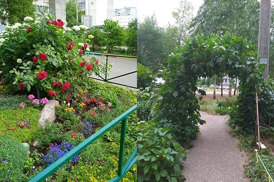 В Заволжье выбрали самые благоустроенные дворы Фото: администрация Твери