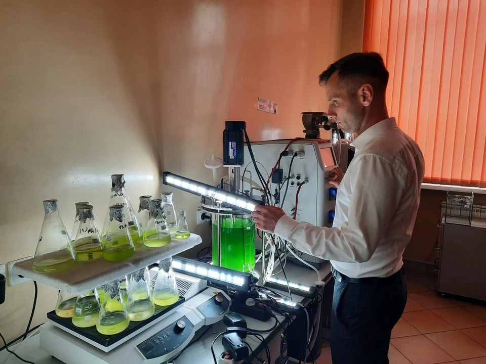 Микробиолог Станислав Сухих «колдует» над водорослями в университетской лаборатории.