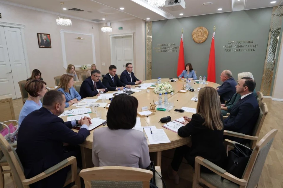 В Совете Республики обсудили проблемы детей-аутистов. Фото: телеграм-канал "Минздрав Беларуси"