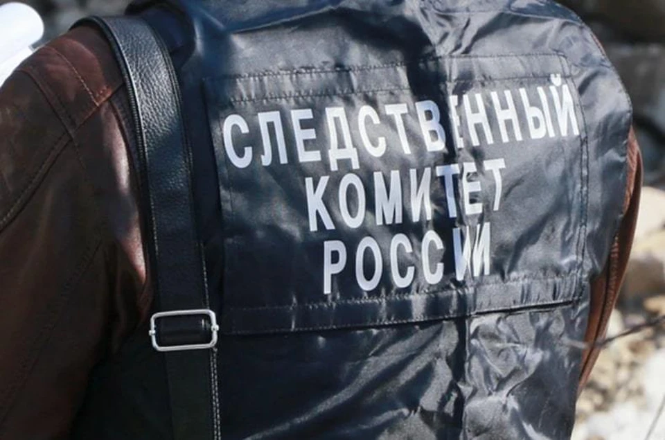 В ходе проверки следователи установят все обстоятельства произошедшего