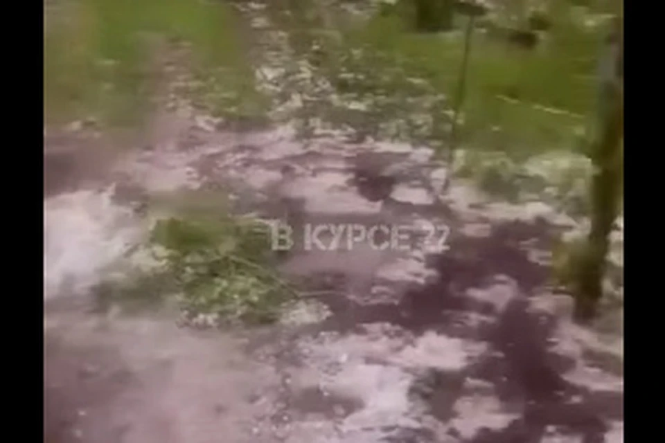 Скриншот видео / vk.com/vkurse22barnaul