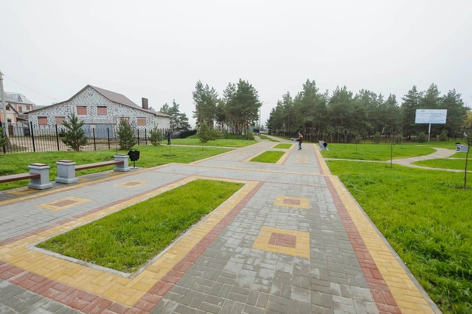 Фото - правительство Воронежской области