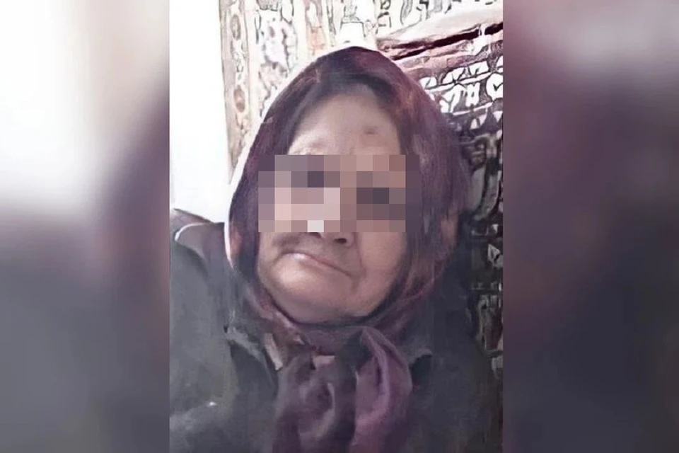 В Новосибирской области завершились поиски 82-летней пенсионерки, пропавшей в лесу. Фото: ПСО "ЛизаАлерт НСО".