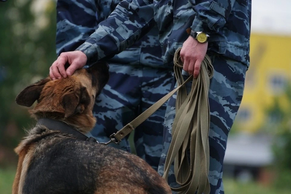 Школьники пропали 26 июля.