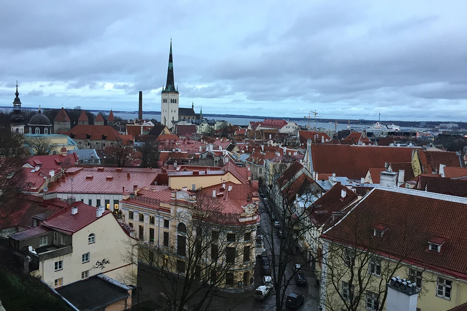 Эстония прекратила выдачу россиянам временного вида на жительство и учебных виз.