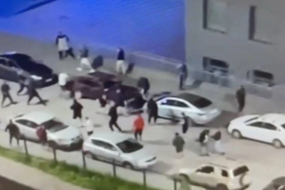 В сети появилось видео массовой драки со стрельбой в Мурино