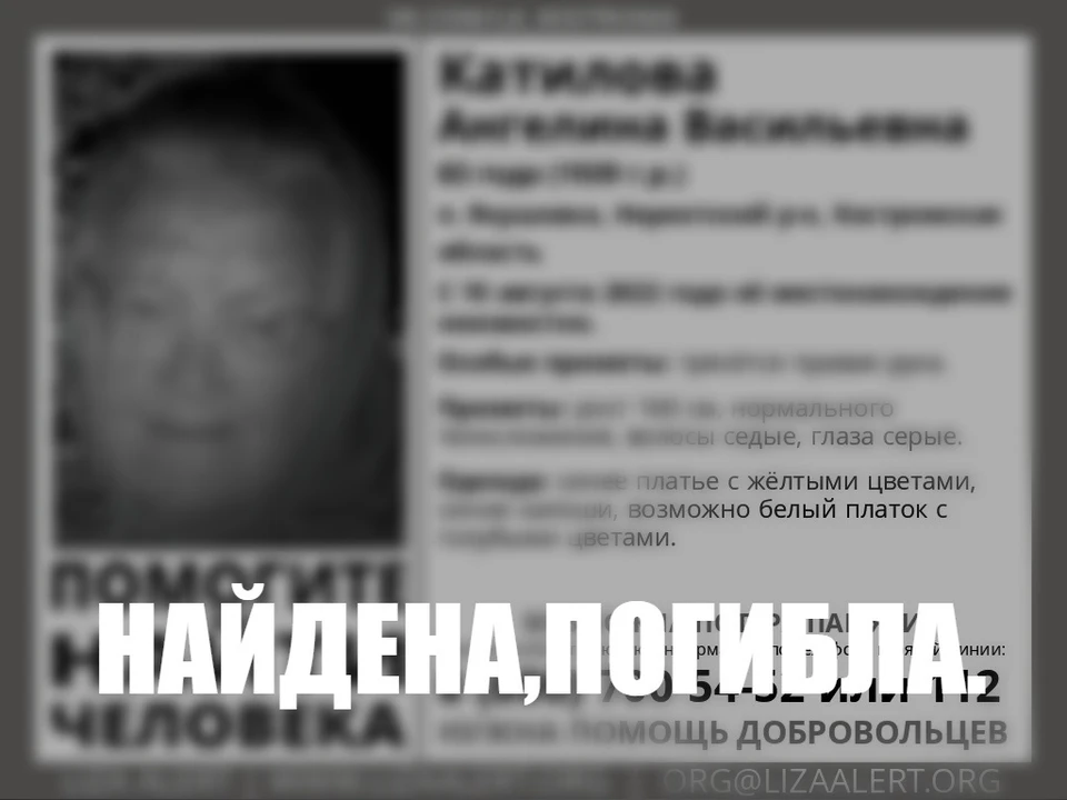 Фото: ДПСО "Лиза Алерт" Костромской области