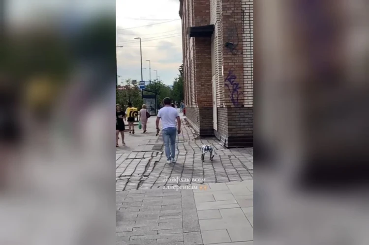 «Будущее уже наступило»: в центре Красноярска заметили гуляющую с хозяином собаку-робота