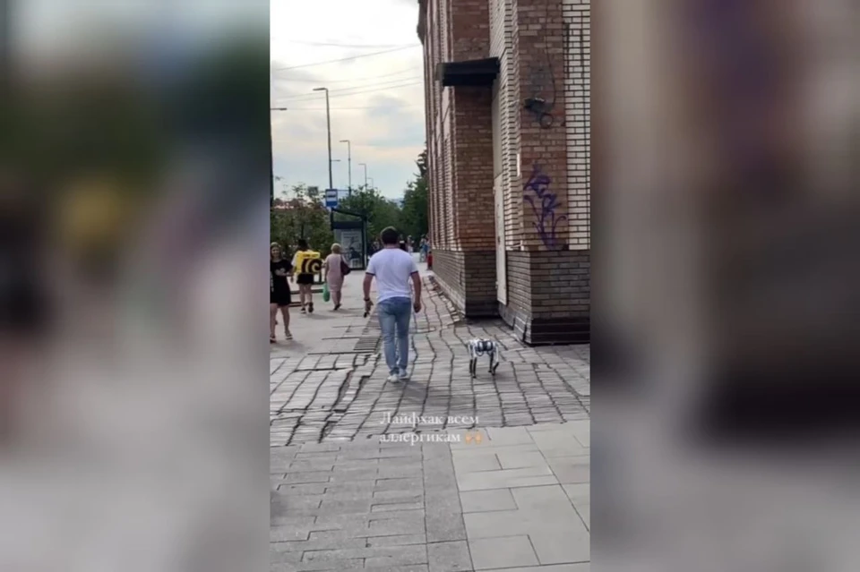 В центре Красноярска мужчина выгуливал собаку-робота. Фото: скриншот из видео Ксении Снопковой
