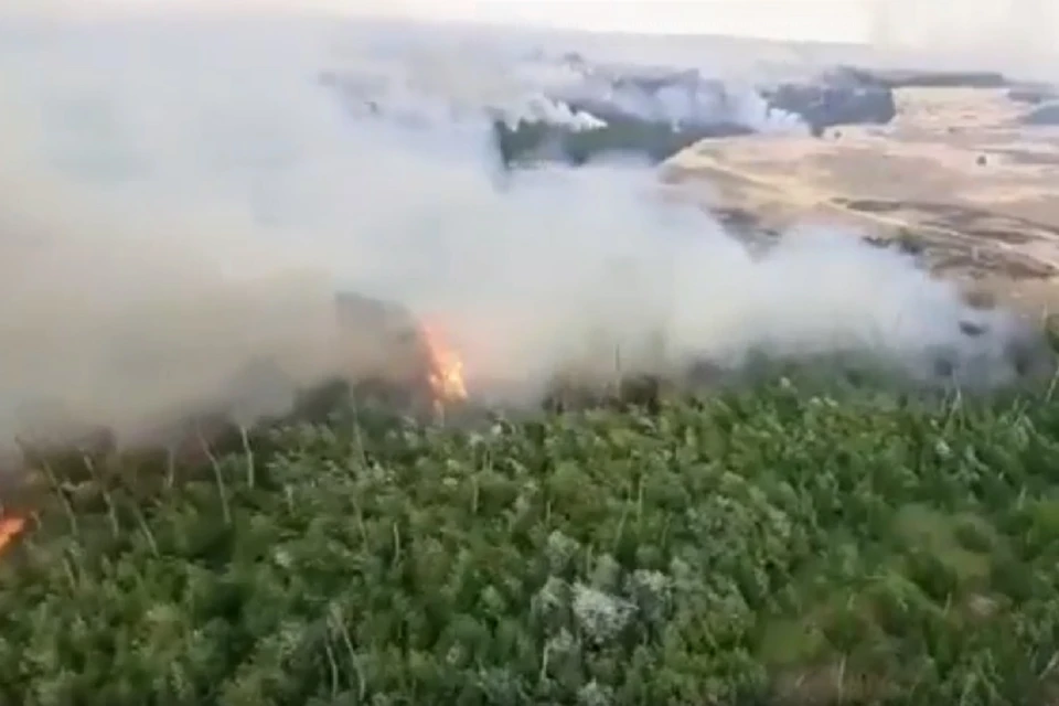В Ростовской области локализовали пожар на 331 гектаре. Фото: ГУ МЧС по РО.