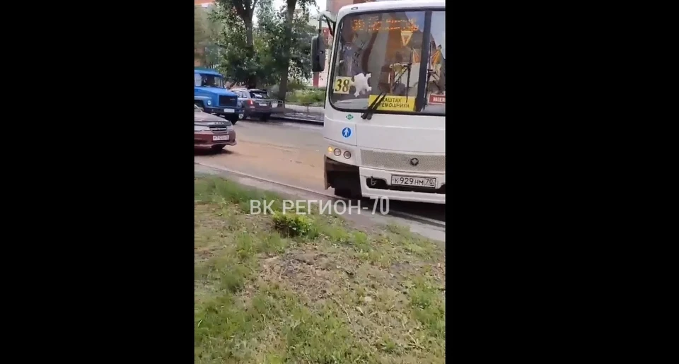 Фото: скриншот видео "Регион-70".