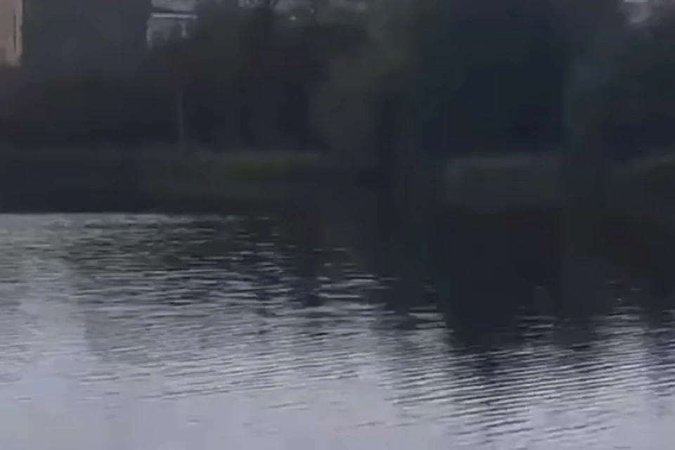 Фото: скриншот из видео. То самое озеро.