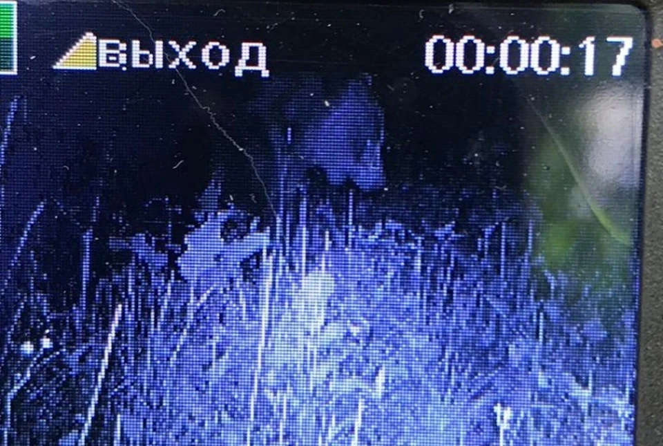 Крупный медведь попал в объектив фотокамеры. ФОТО: группа "Национальный парк "Плещеево Озеро" ВКонтакте