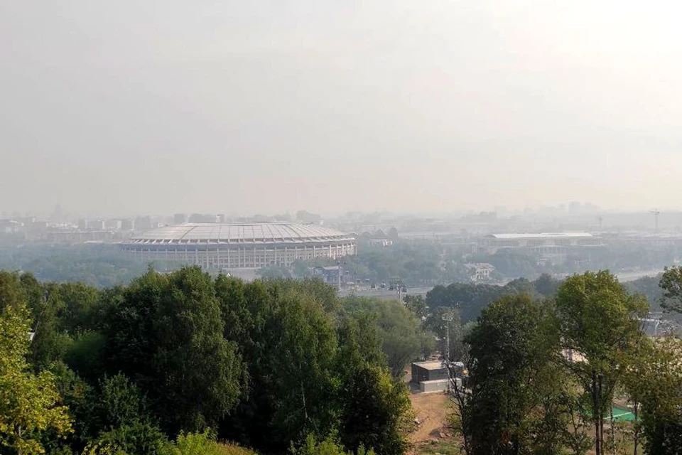 В Рязанской области - лесные пожары, а в Москве - смог от них.