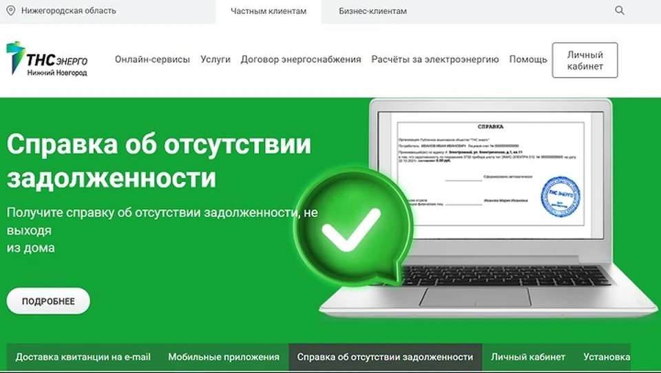 Дать показания тнс энерго. Тнс энерго нн. тнс энерго логотип. пао тнс энерго нн об организации.