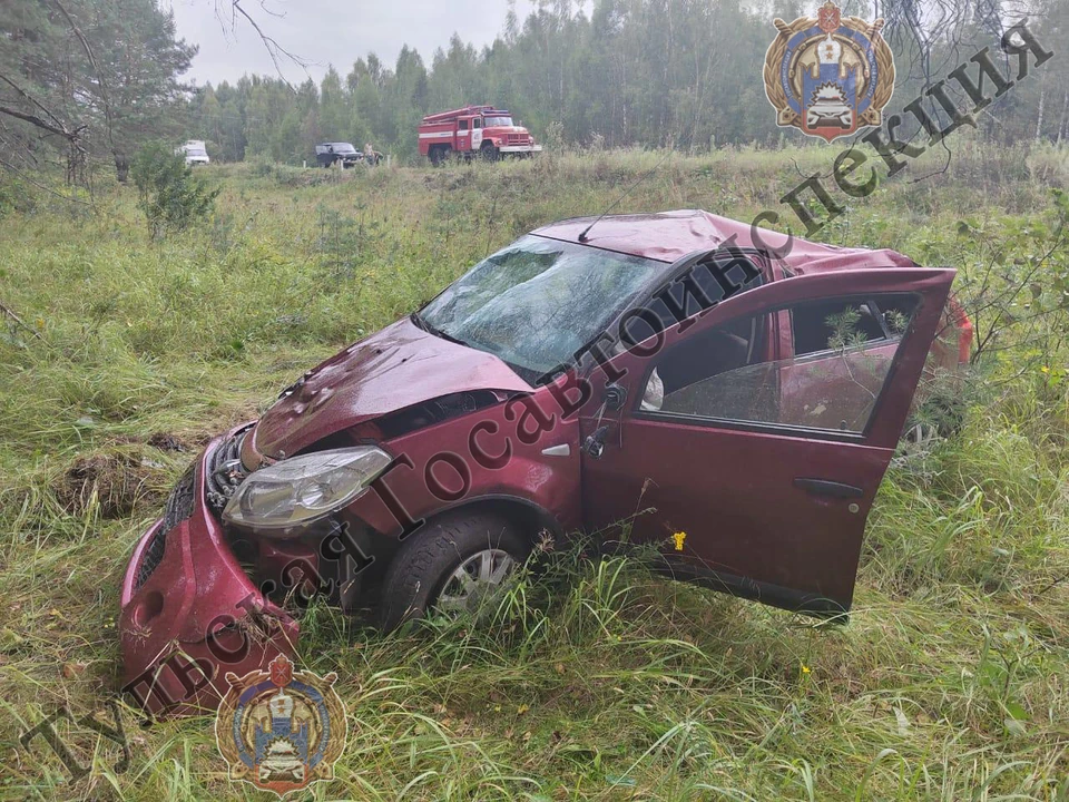 В Тульской области нетрезвый мужчина на Renault опрокинулся в кювет: пострадали двое