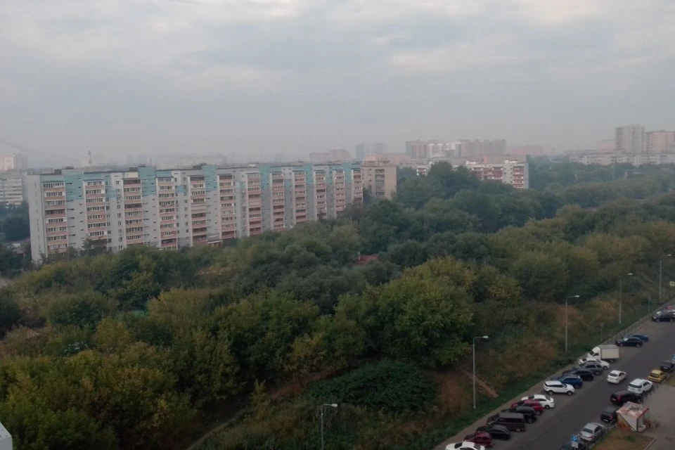Дым и запах гари в московском регионе не угрожают здоровью и жизни людей