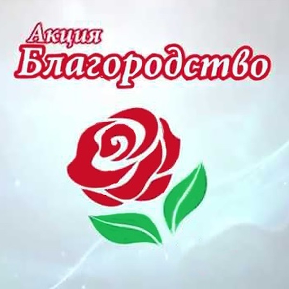 Юбилейная акция «Благородство» стартовала в Самарской области в августе  2022 года - KP.RU