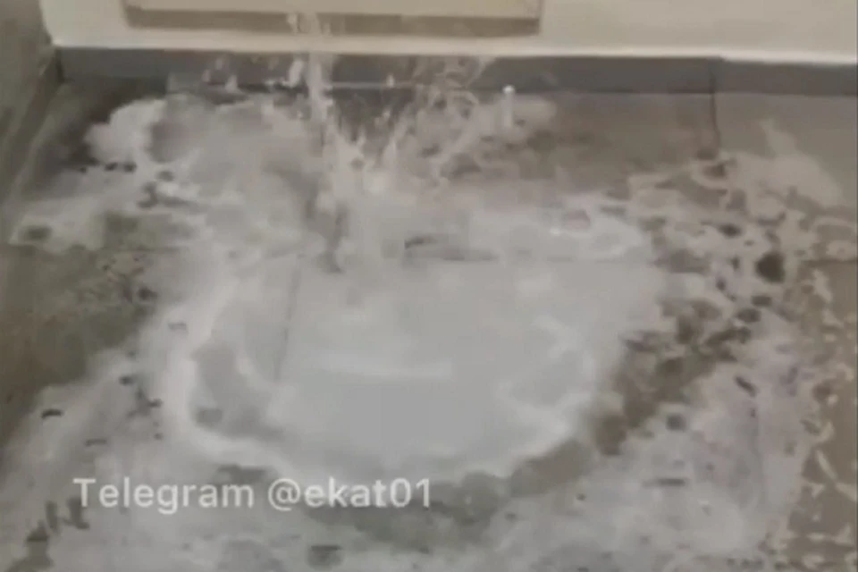Фото: скриншот с видео