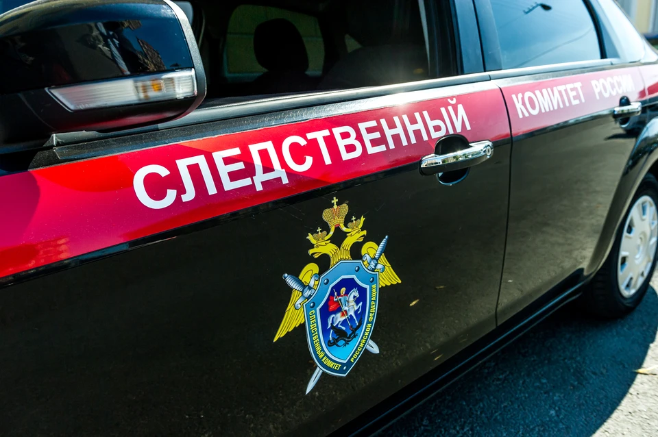 В Лужском районе Ленинградской области мужчине предъявлено обвинение в покушении на убийство своего сына