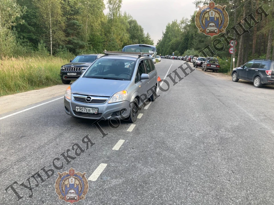 В Тульской области Opel Zafira сбил 9-летнюю девочку-пешехода