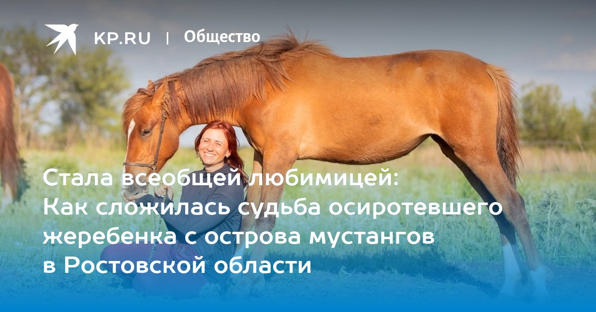 Стала всеобщей любимицей: Как сложилась судьба осиротевшего жеребенка с ...