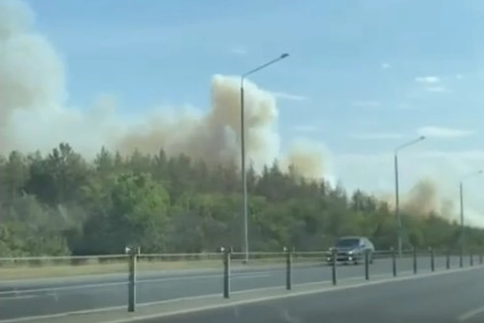Огонь с травы перекинулся на деревья. Фото: стоп-кадр с видео novostiorenburg