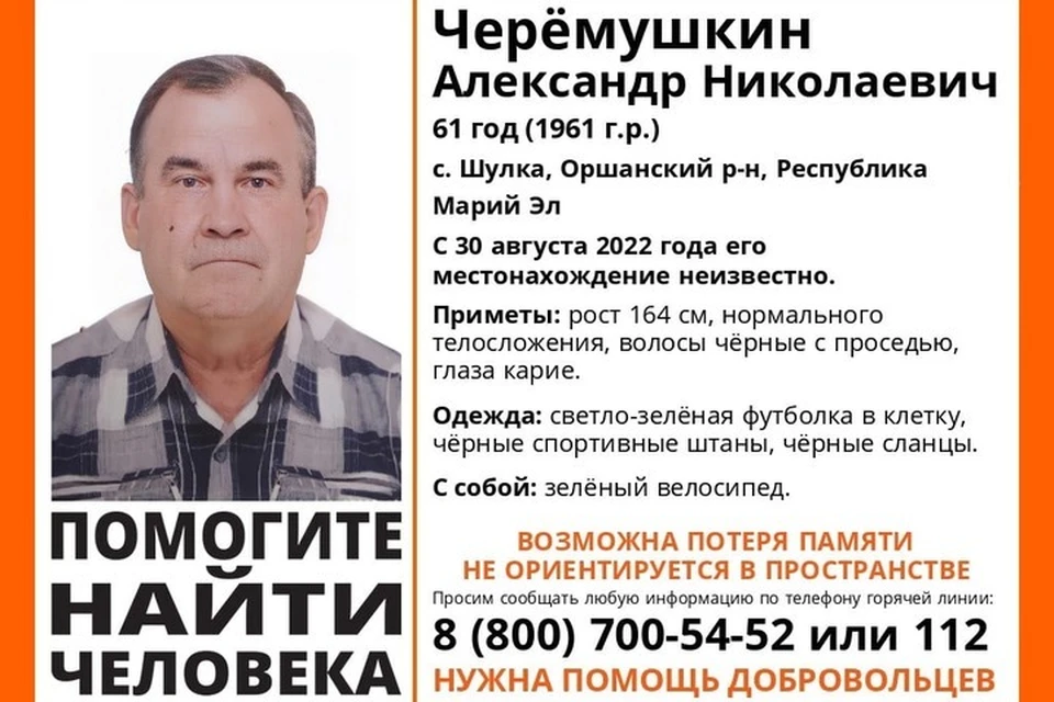 Всех, кто видел этого человека, просят сообщить об этом по телефонам 112 или 8-800-700-54-52. Фото: ПСО "Лиза Алерт"