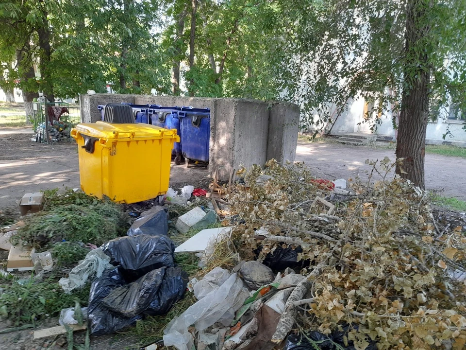 ФОТО: сайт Общественной палаты Ульяновской области