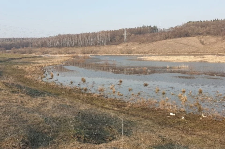 Возгорание было на площади около 310 квадратных метров