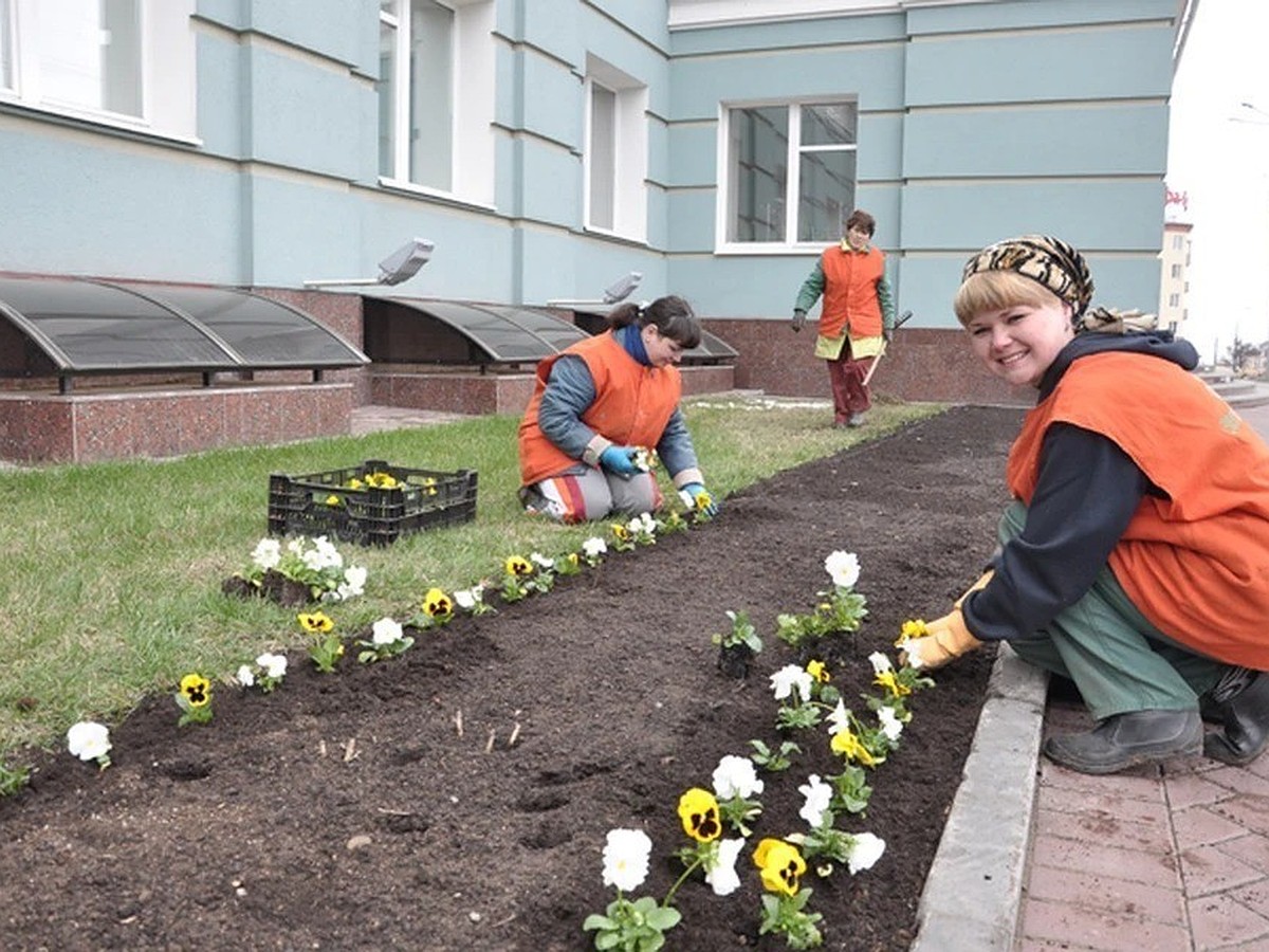 Работа для подростков 14-16 лет в Беларуси: новые требования, ограничения,  вакансии, зарплаты - последние новости на 8 сентября 2022 - KP.RU