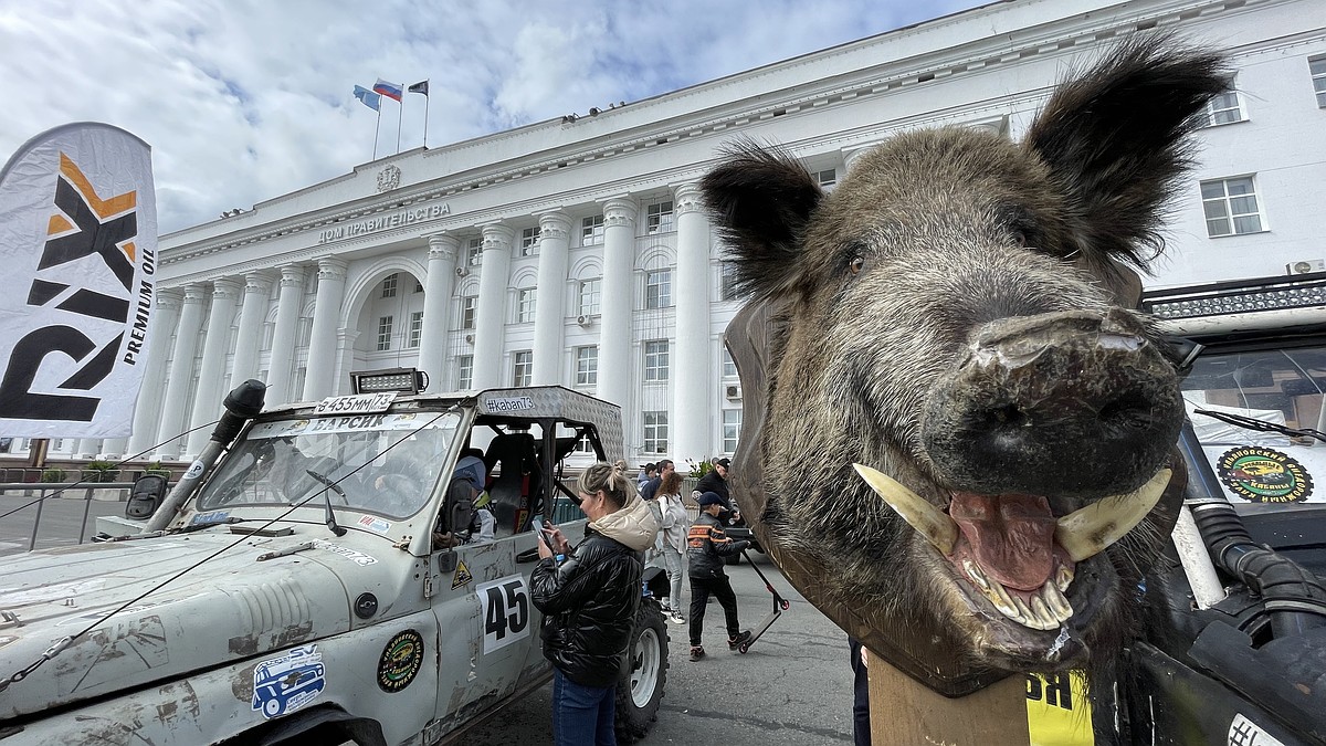 Как в Ульяновске проходит День города 11 сентября 2022 года - KP.RU