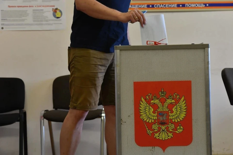 На довыборах депутатов Заксобрания в НСО зарегистрировали 13 нарушений.
