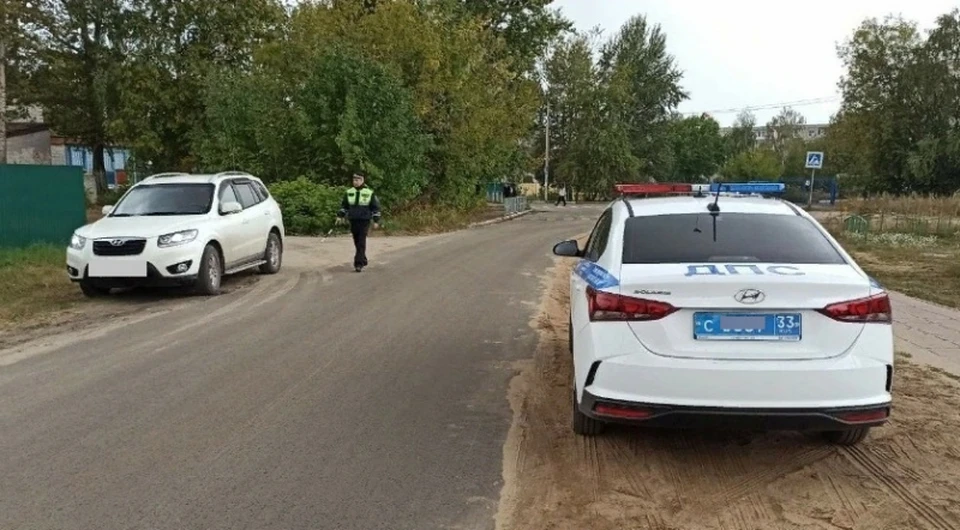 Фото: УМВД России по Владимирской области