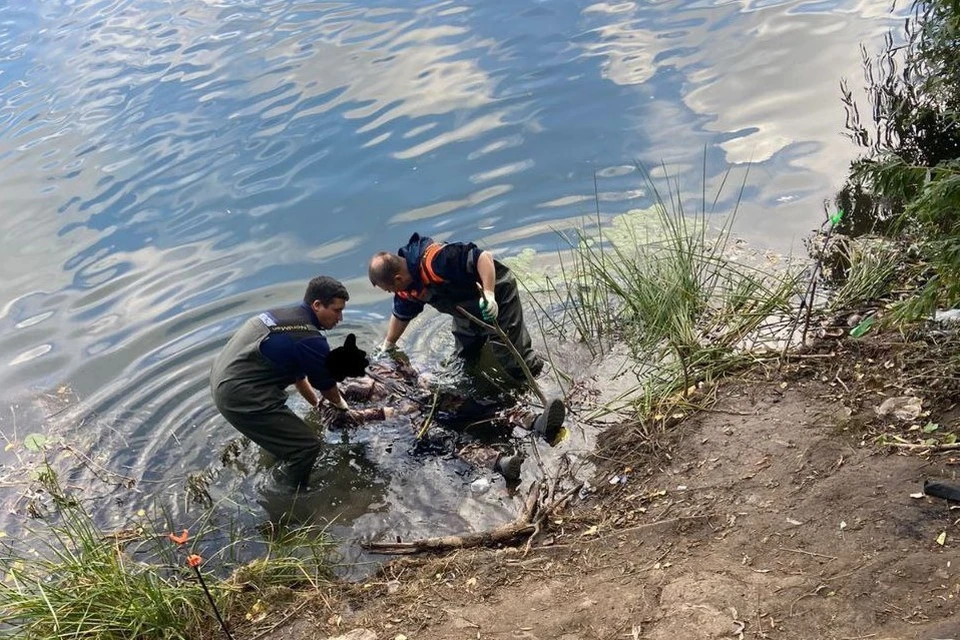 Мужчина через реку. Река Сакмара Оренбург. Вода речка.